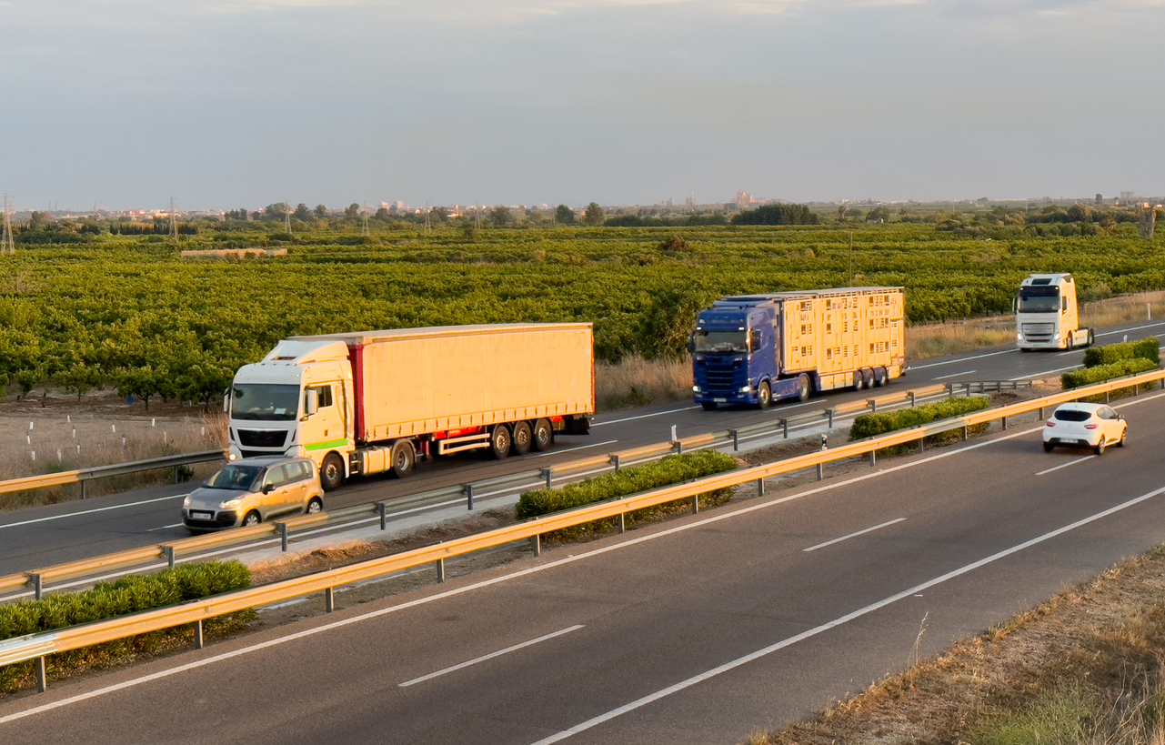 cross-country car shipping